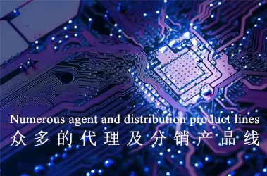 我们有多条代理及分销产品线,满足您的选型需求